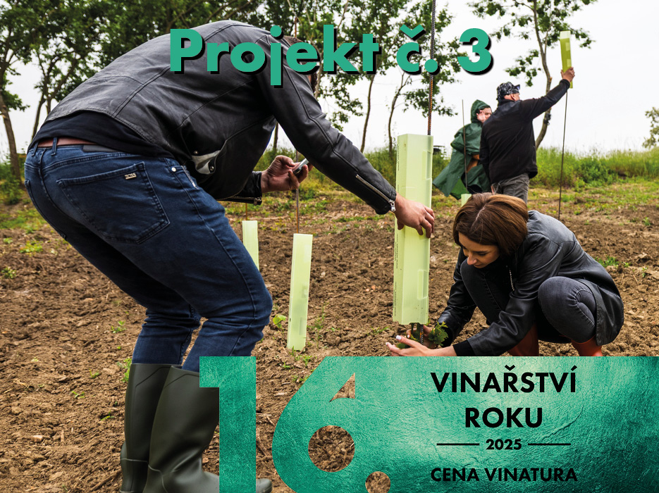 DoVinic – zdravé vinice pro budoucnost vinařství